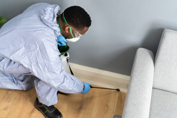 Best Commercial Pest Control  in St Johns, AZ